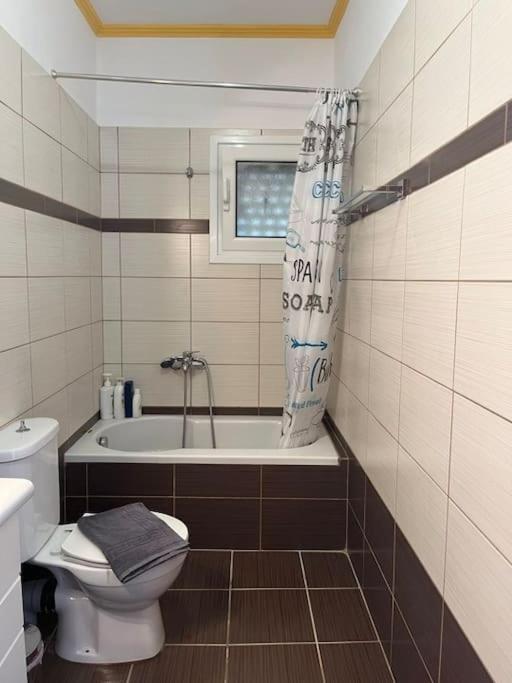 Alex House Apartment Parga Luaran gambar