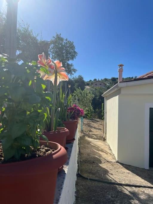 Alex House Apartment Parga Luaran gambar