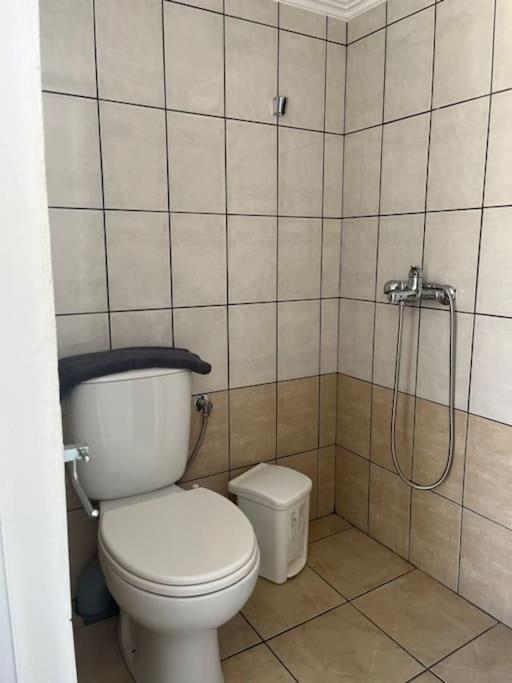 Alex House Apartment Parga Luaran gambar