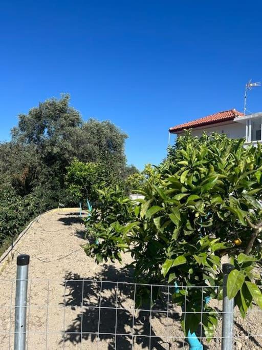 Alex House Apartment Parga Luaran gambar