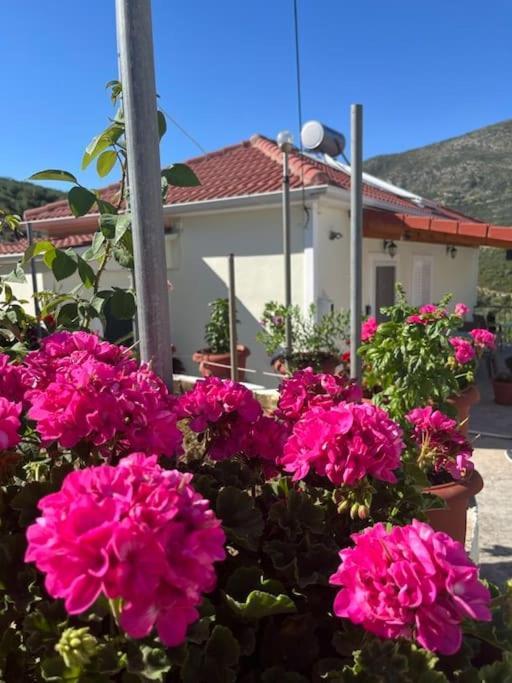 Alex House Apartment Parga Luaran gambar