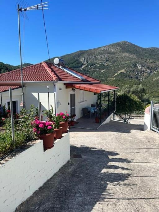 Alex House Apartment Parga Luaran gambar